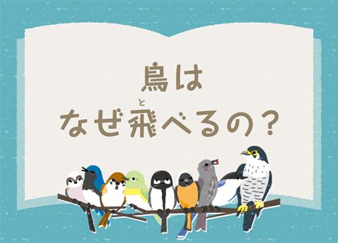 小鳥 飛|鳥はなぜ飛（と）べるの？